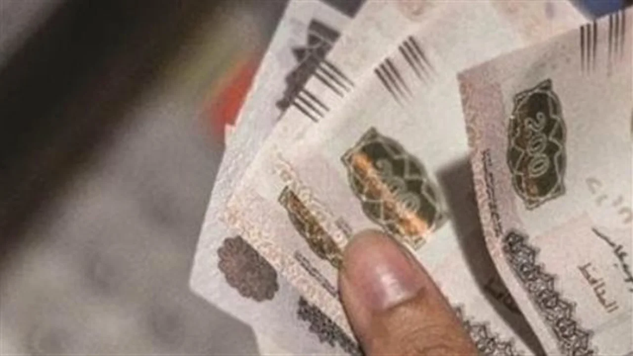 زيادة 15%.. تفاصيل تطبيق معاشات المواطنين بأمر رئاسي جديد